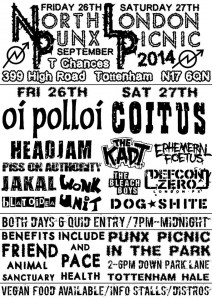 punx picnic