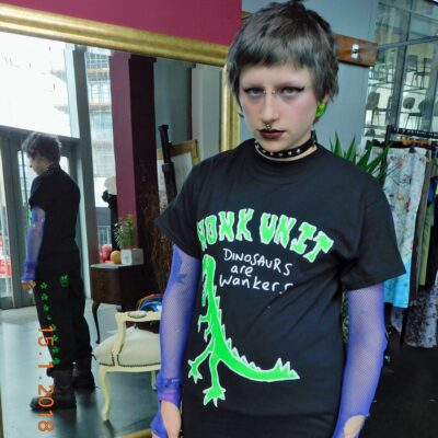 Wonk Unit dinosaurs are wankers