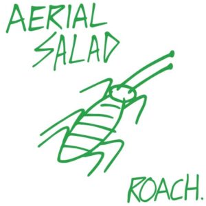 aerial salad