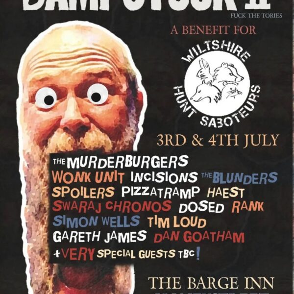 bampstock 2 - diy punk gig festival with wonk unit